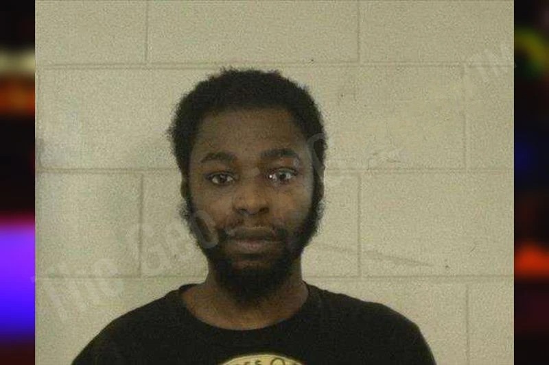 Quamane Fleming mugshot – Liberty County , Georgia Quamane Fleming mugshot