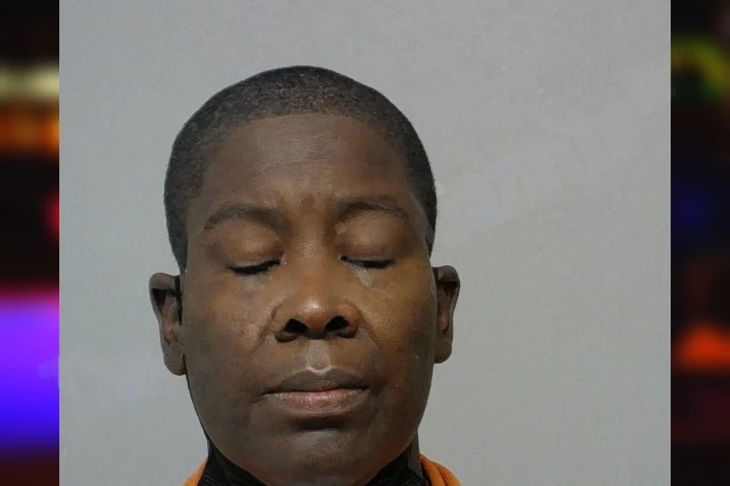 Rachel Robinson Mugshots