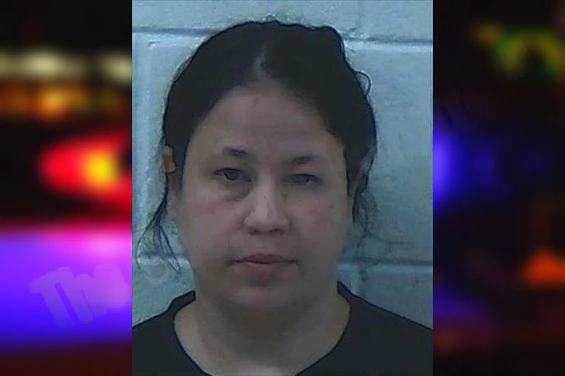 Rachel Rosario Mugshots