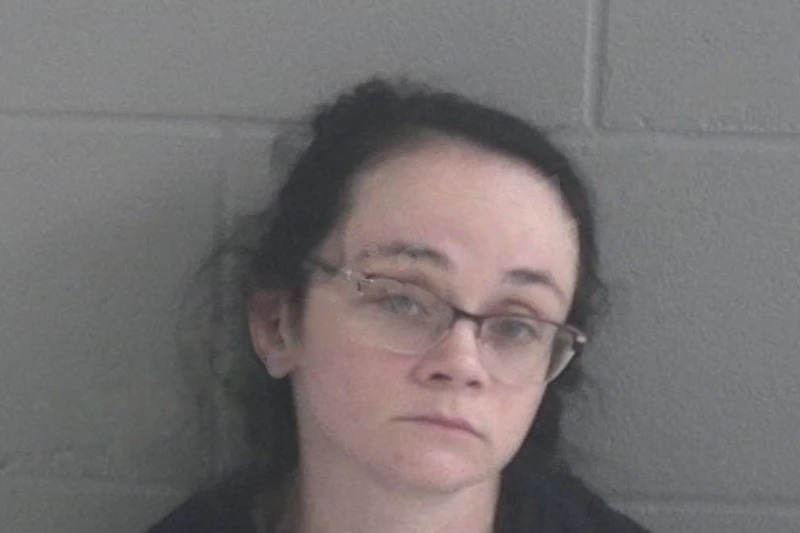 Rachel Shaw mugshot – Brantley County , Georgia Rachel Shaw mugshot
