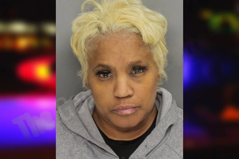 Ramona White mugshot – Cobb County , Georgia Ramona White mugshot