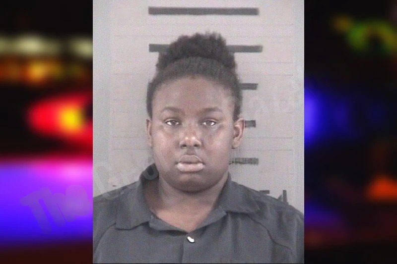 Randasha Flewellen mugshot β Dougherty County , Georgia Randasha Flewellen mugshot