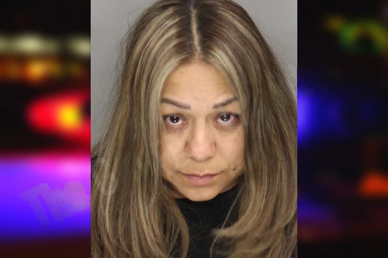 Raquel Gomez mugshot – Cobb County , Georgia Raquel Gomez mugshot