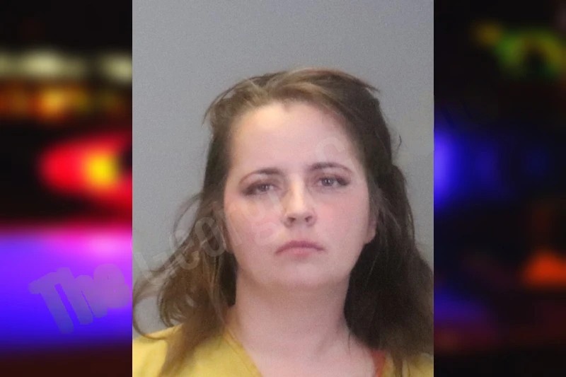 Rebecca Lott Mugshots