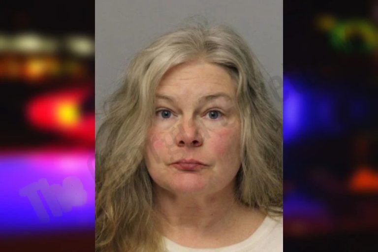 Rebecca Stephenson mugshot – Hall County , Georgia Rebecca Stephenson