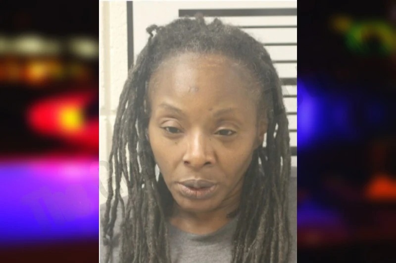 Regina Mincey Mugshots