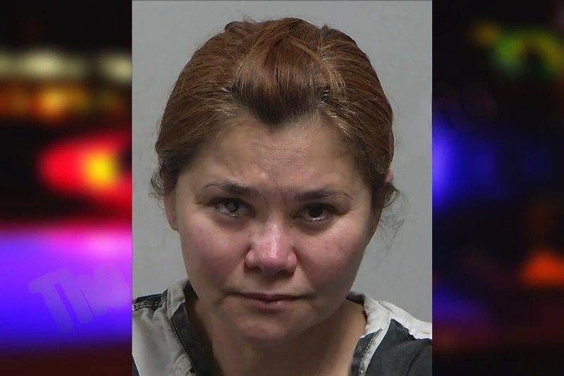 Reina Cedeno mugshot