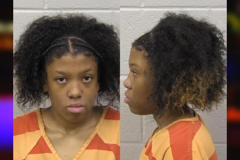 Reyna Reese mugshot – Paulding County , Georgia Reyna Reese mugshot