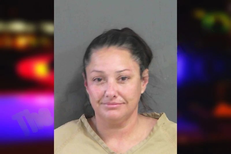 Rhonda Brock Mugshots