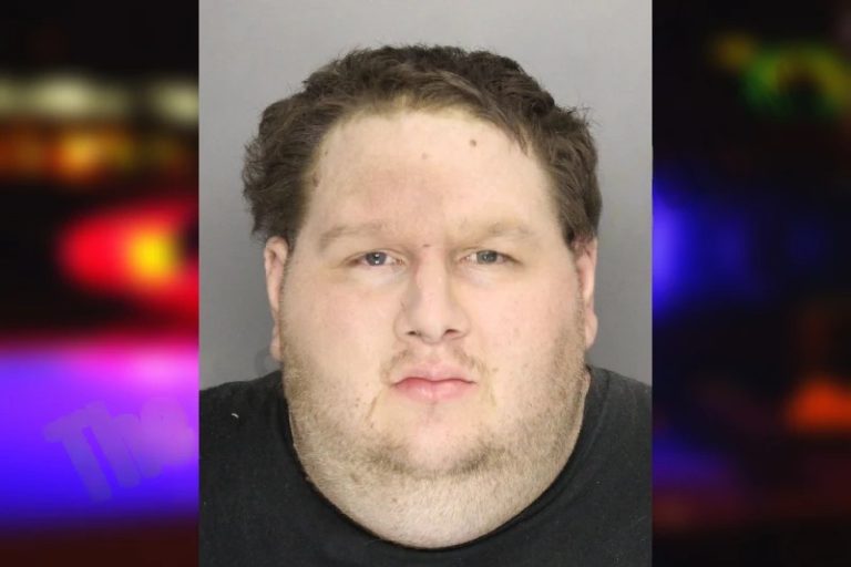 Richard Fitzner mugshot – Paulding County , Georgia Richard Fitzner