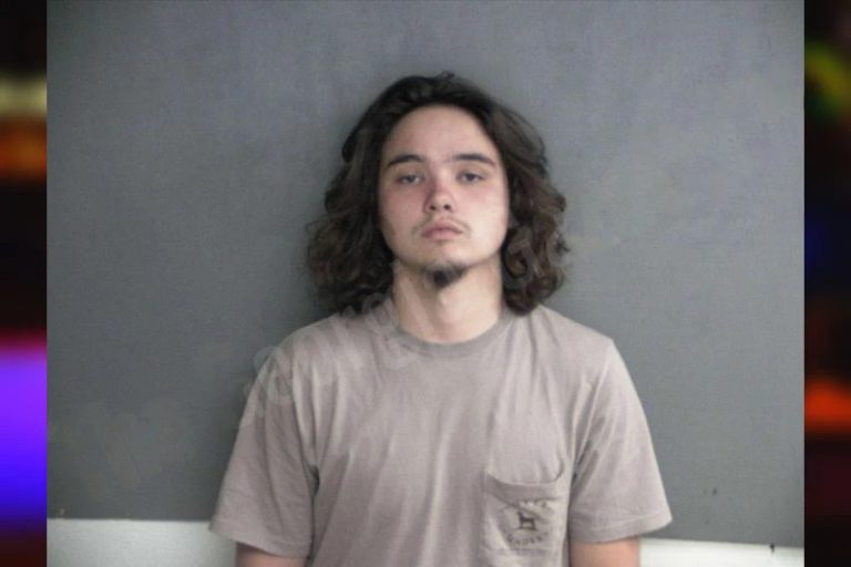 Riley Banks mugshot – Twiggs County , Georgia Riley Banks