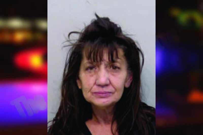 Rita Kreczmer mugshot