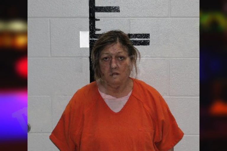 Rita Mauldin mugshot – Murray County , Georgia Rita Mauldin
