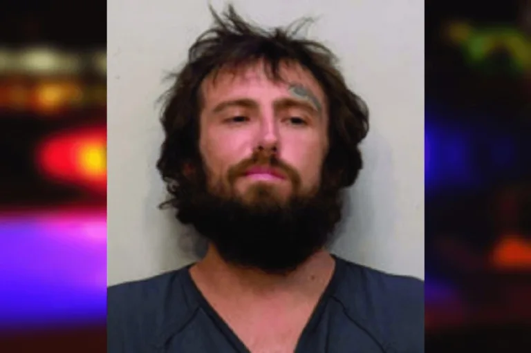 Robert View mugshot – Bartow County , Georgia Robert View