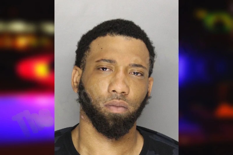 Ronald Bailey Mugshots