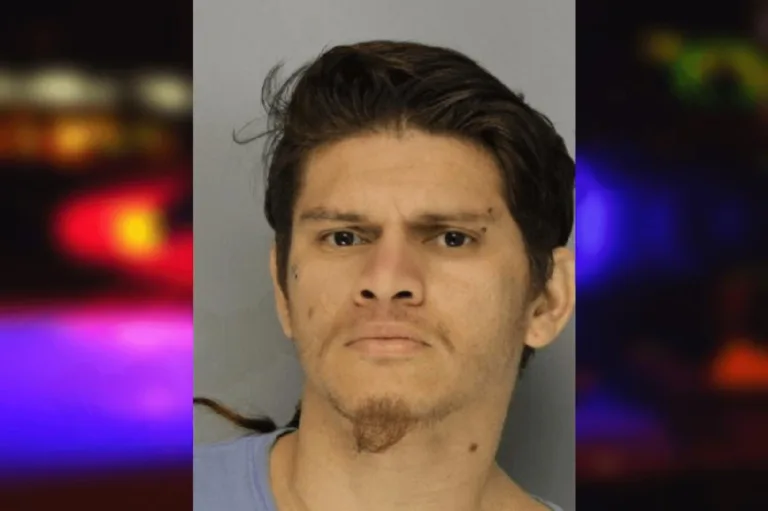 Ronald Bonilla-Ramos mugshot – Hall County , Georgia Ronald Bonilla-Ramos