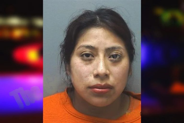 Rosmeri Lopez mugshot – Cherokee County , Georgia Rosmeri Lopez