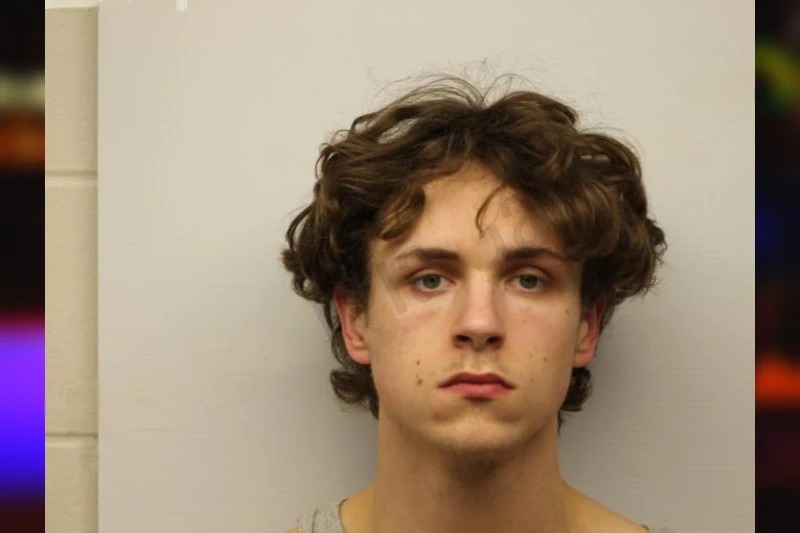 Ryan Reynolds Mugshots