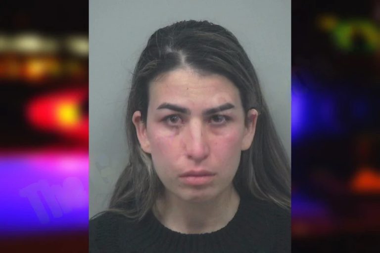 Safari Shahnaz mugshot – Gwinnett County , Georgia Safari Shahnaz