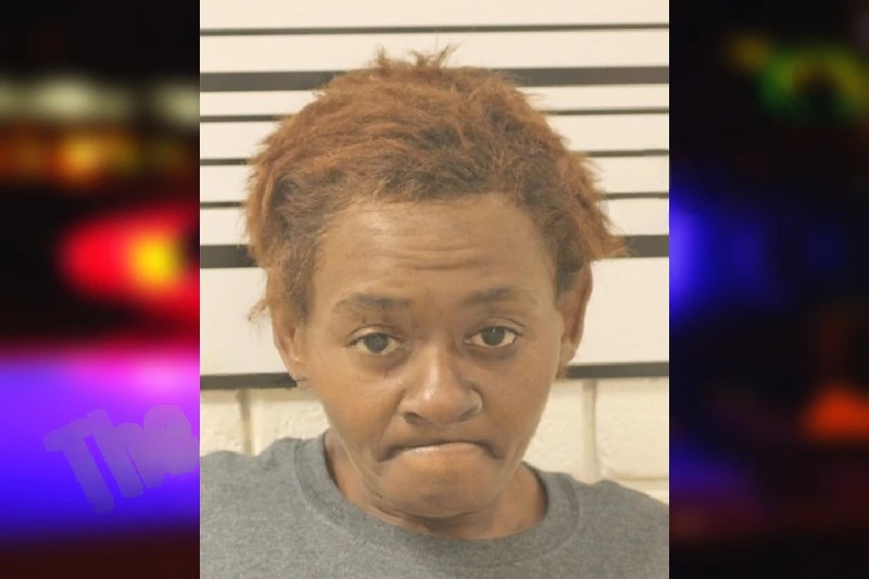 Samantha Day mugshot – Toombs County , Georgia Samantha Day mugshot