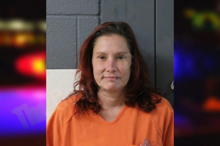 Samantha Horne mugshot – Lumpkin County , Georgia Samantha Horne