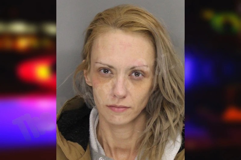 Samantha Lockman mugshot – Cobb County , Georgia Samantha Lockman mugshot