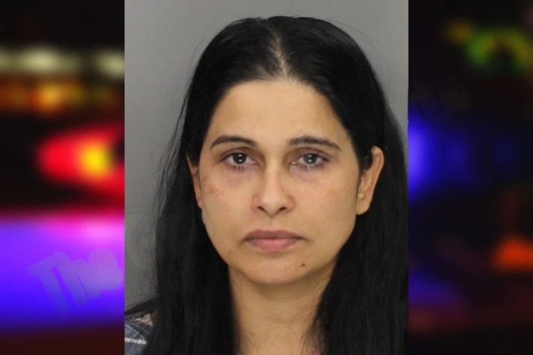 Sana Umer mugshot – Cobb County , Georgia Sana Umer
