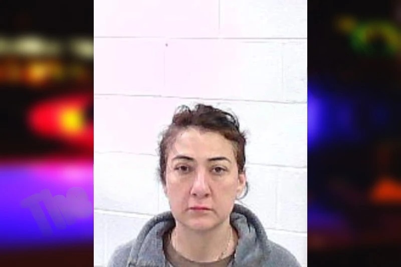 Sanaz Morris Mugshots