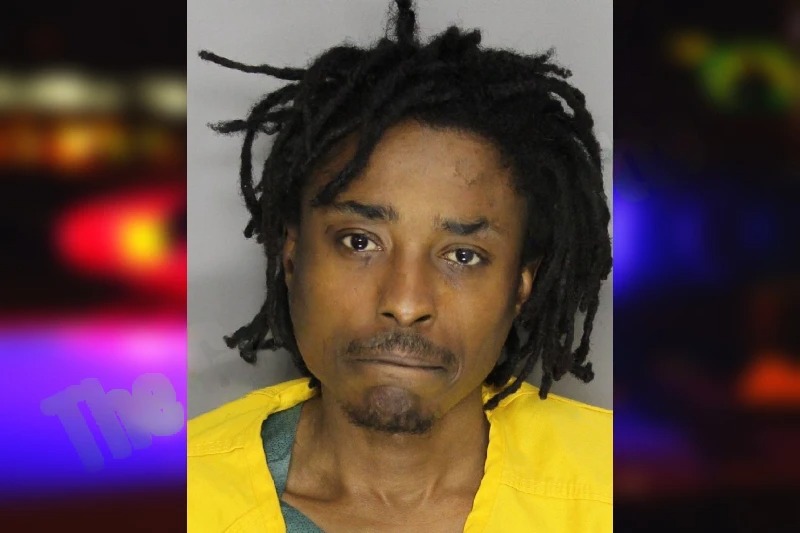 Sanchetz Jones mugshot – Cobb County , Georgia Sanchetz Jones mugshot