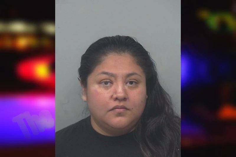 Sandra Mederos mugshot