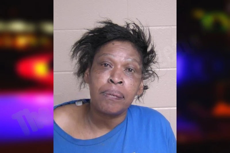 Sandra Sexton mugshot – Walker County , Georgia Sandra Sexton mugshot