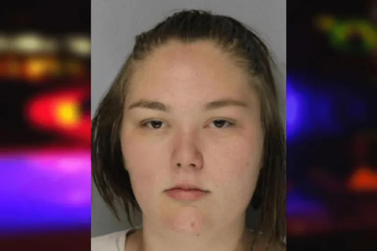 Sara Gallina mugshot – Hall County , Georgia Sara Gallina