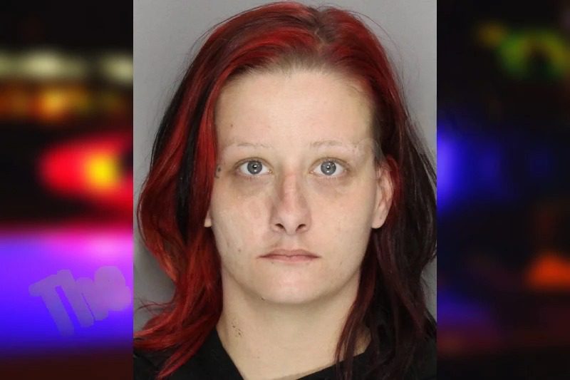 Sara Modglin Mugshots