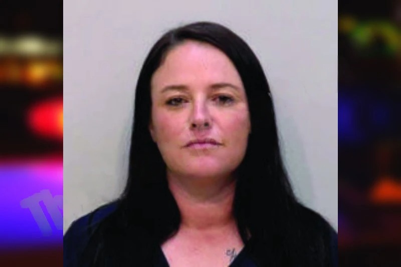 Sarah Hankins mugshot – Bartow County , Georgia Sarah Hankins mugshot