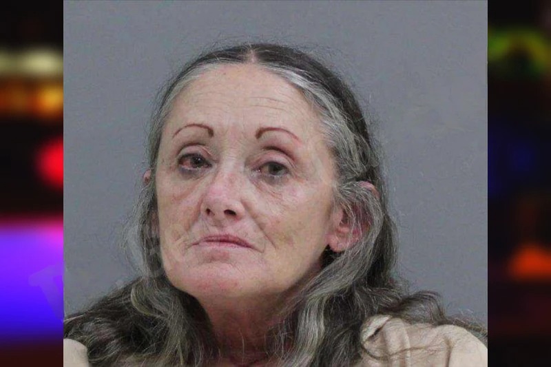 Sarah Johnson mugshot