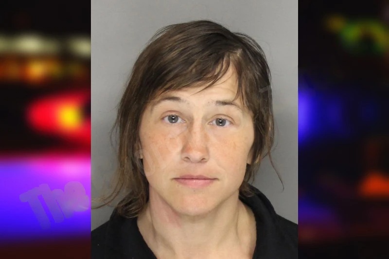 Sarah Pointer Mugshots