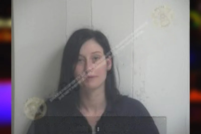 Sarah Summerville Mugshots