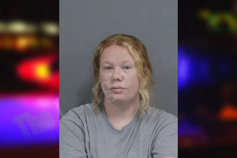 Savannah Boone mugshot – Catoosa County , Georgia Savannah Boone
