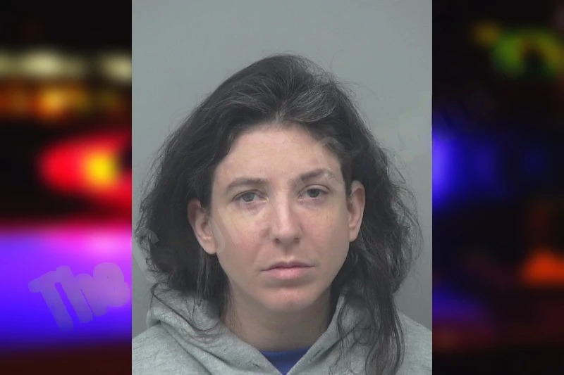 Savannah Sanderlin mugshot – Gwinnett County , Georgia Savannah Sanderlin mugshot