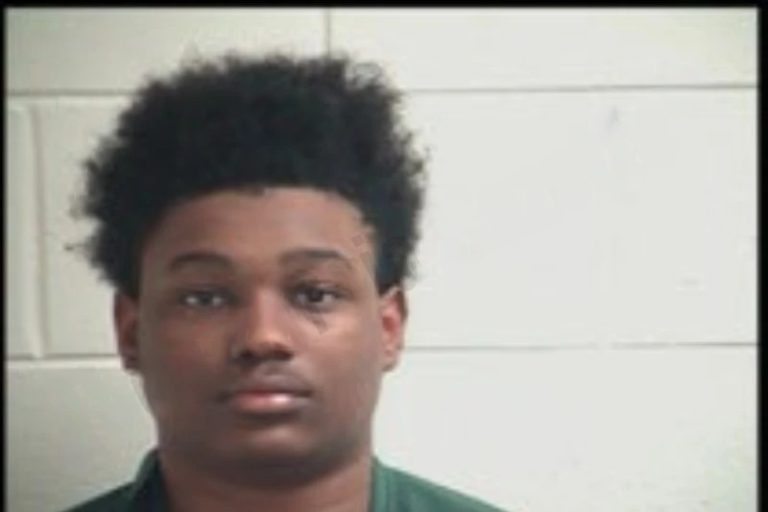 Sean Richardson mugshot – Henry County , Georgia Sean Richardson