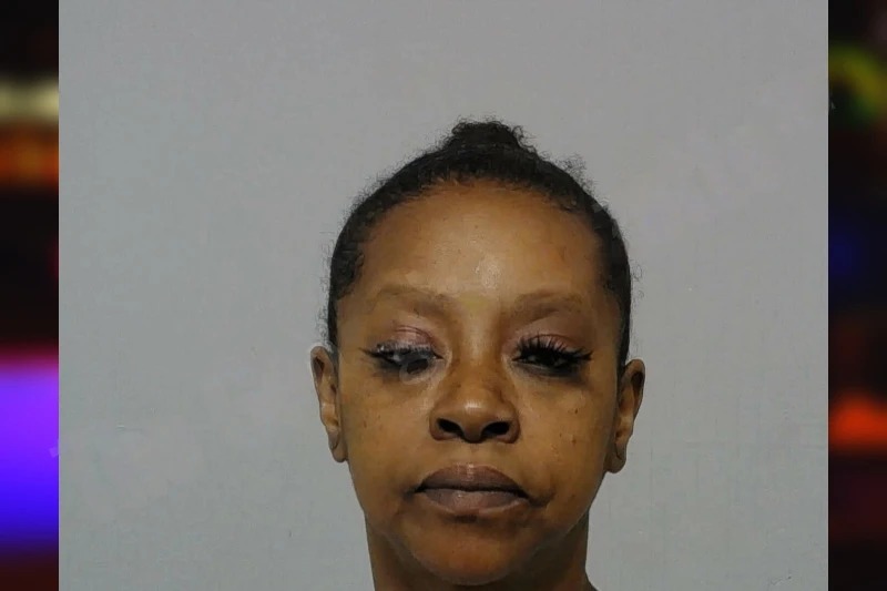 Selanda Morris mugshot – Bibb County , Georgia Selanda Morris mugshot
