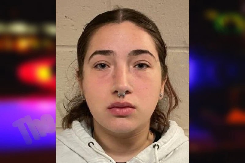 Sera Negron Mugshots