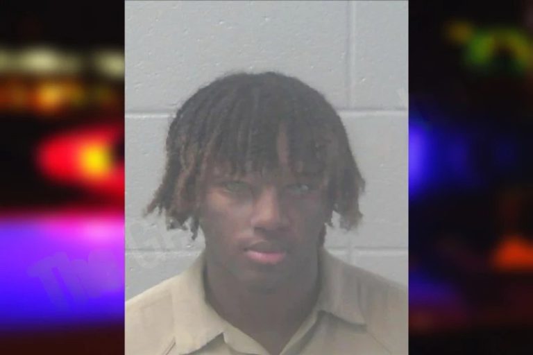 Serelle Hunt mugshot – Newton County , Georgia Serelle Hunt