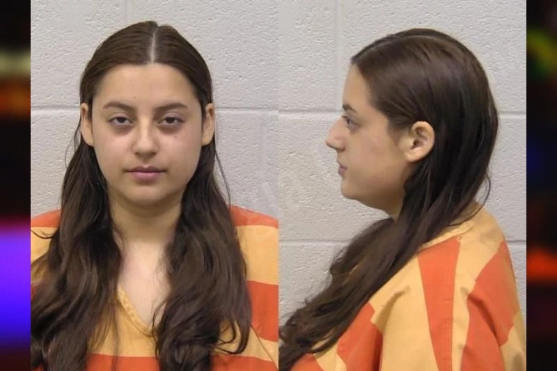 Shahnaz Alibeigi Mugshots