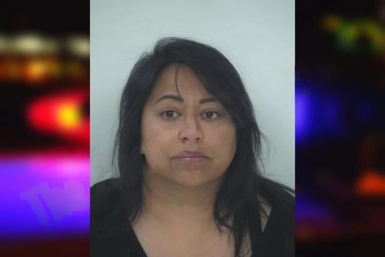 Shaina Lalani mugshot – Fayette County , Georgia Shaina Lalani