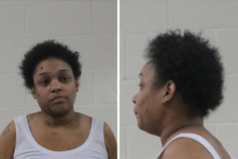 Shalesa Riley Mugshots