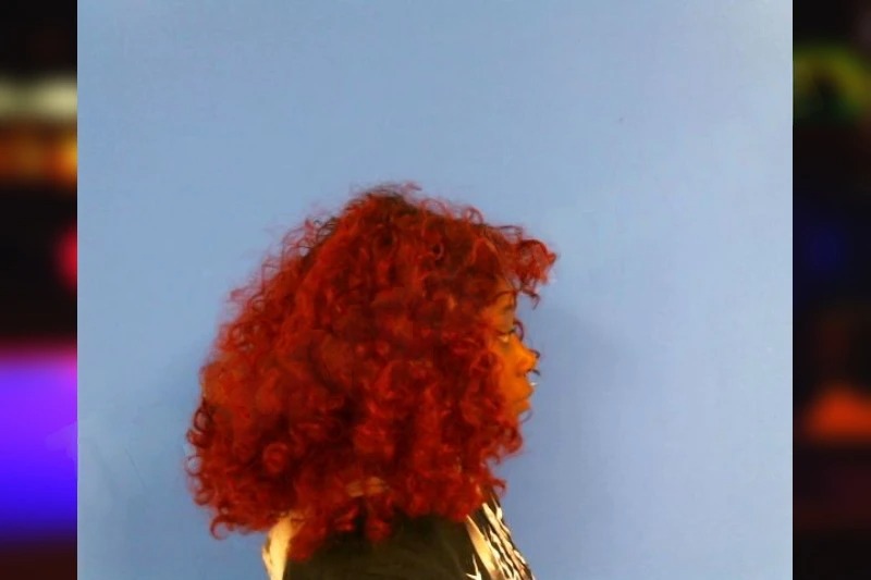 Shamica Cameron mugshot