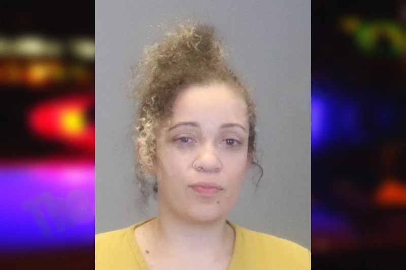 Shamira Diefender Mugshots