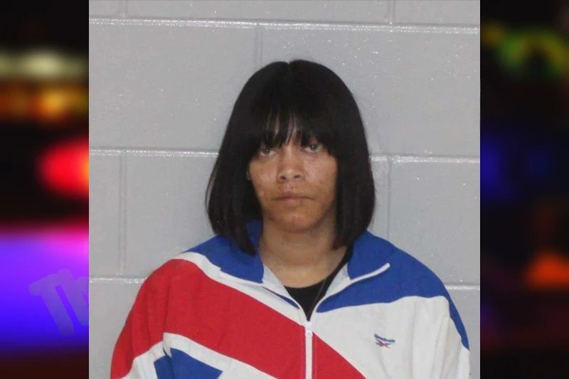 Shana Robinson Mugshots