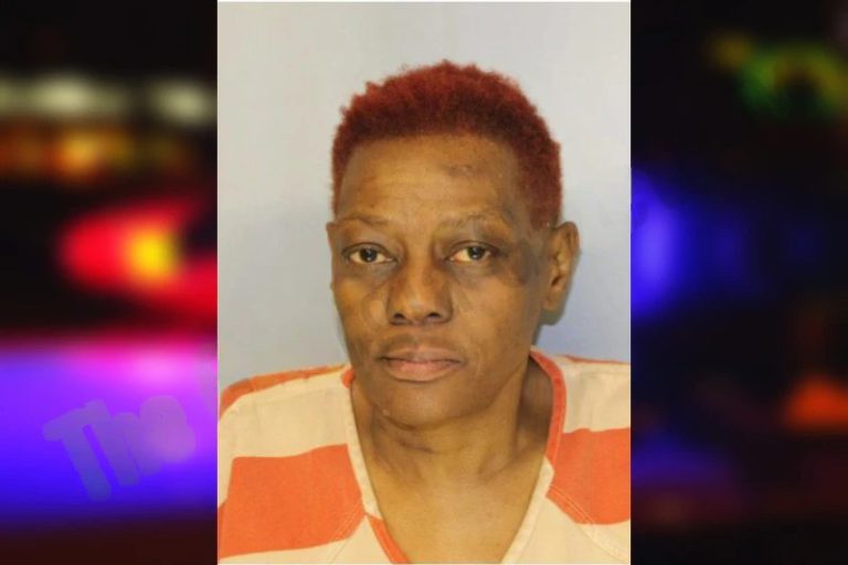 Shannon Borders mugshot – Hall County , Georgia Shannon Borders